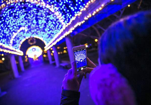 Trellis at Christopher Columbus Park lit for the Holiday Season