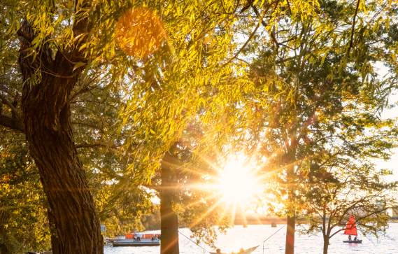 9 Things to do Along the Charles River