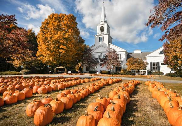Pumpkins for sale in Lexington