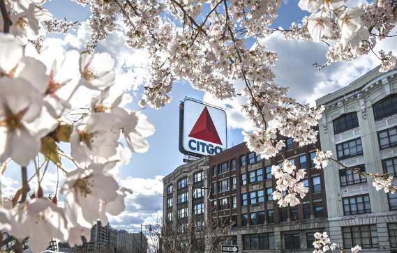 CITGO sign in Spring