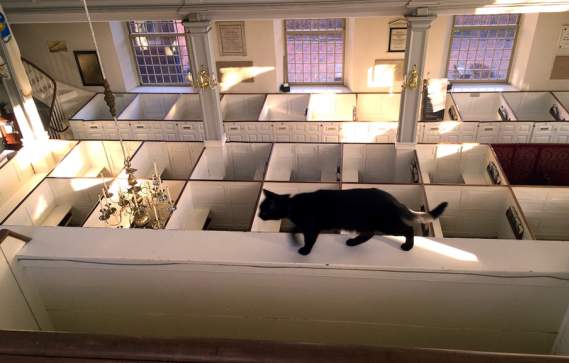 Prince’s Pew Pursuit at Old North Church