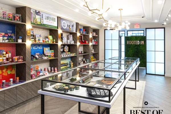 Rooted In, Newbury Street