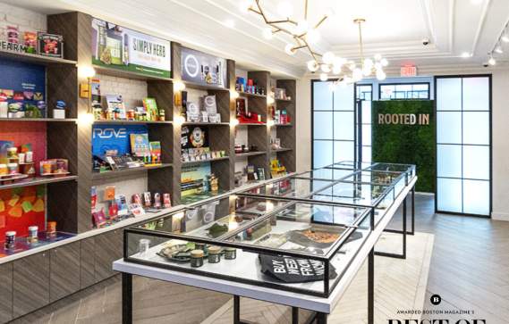 Rooted In, Newbury Street