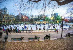 Frog Pond Ice Skating with Common Lights