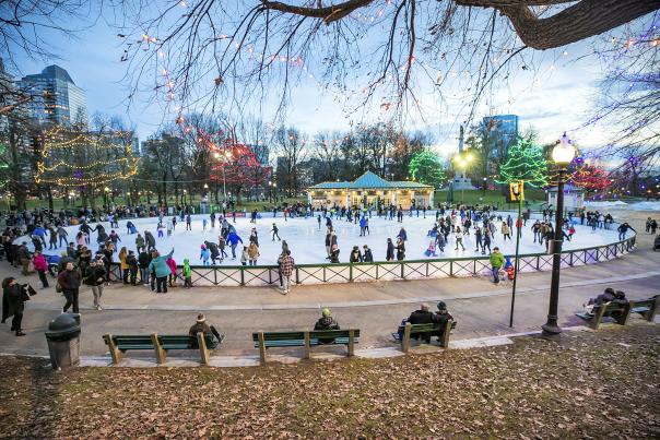 Frog Pond Ice Skating with Common Lights