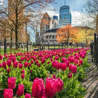 Copley Square in Spring