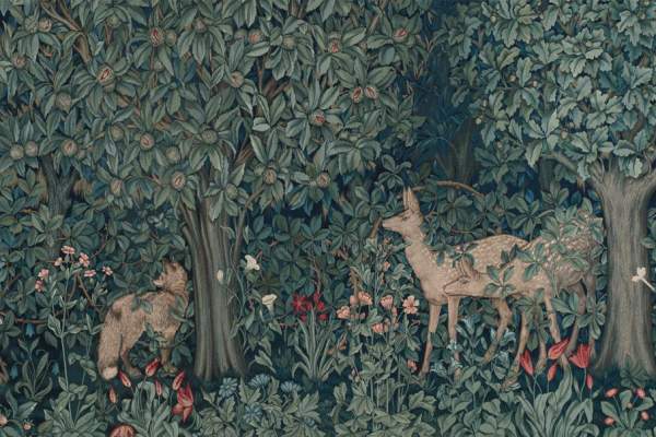 Framing Nature: Gardens and Imagination