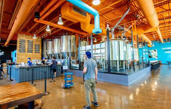 Mighty Squirrel Brewing Co.